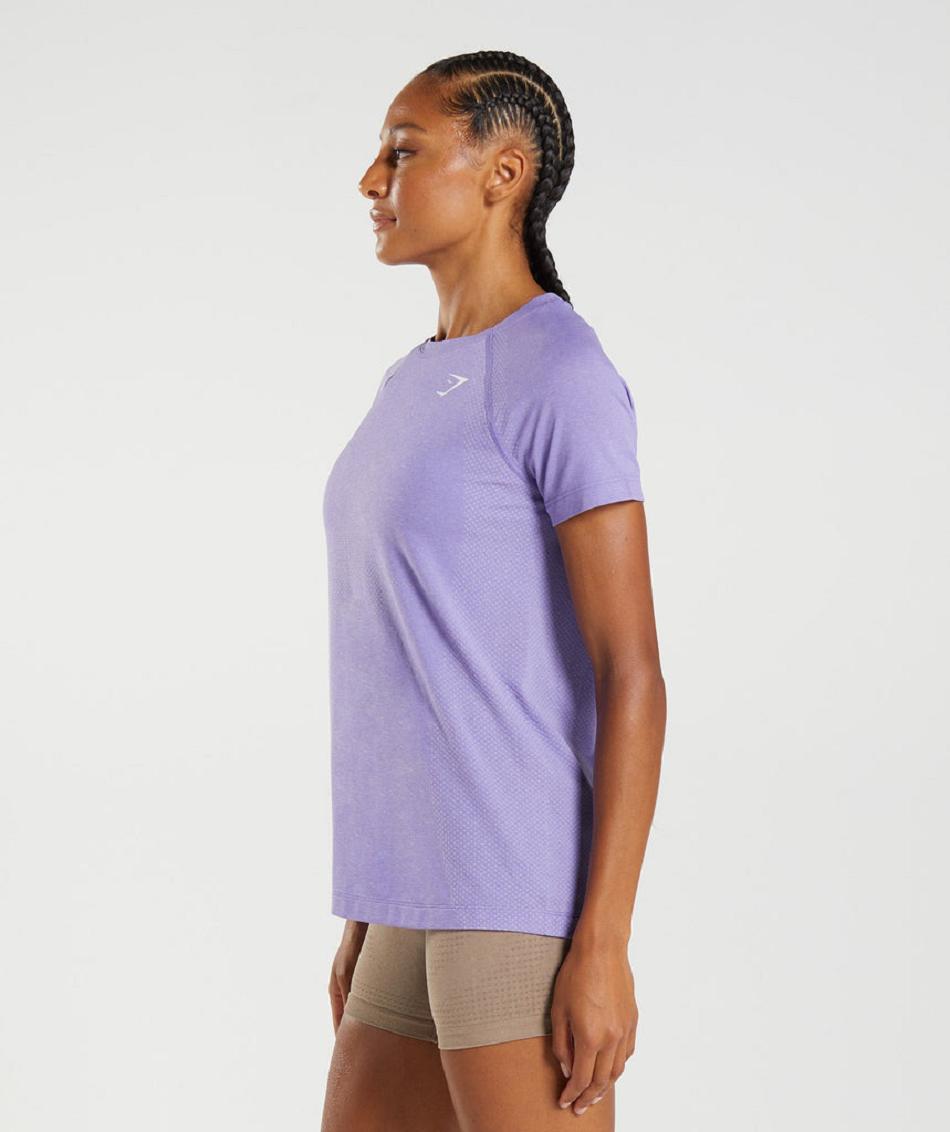 T Shirts Gymshark Vital Seamless 2.0 Light Mujer Moradas | CO 2243JPQ